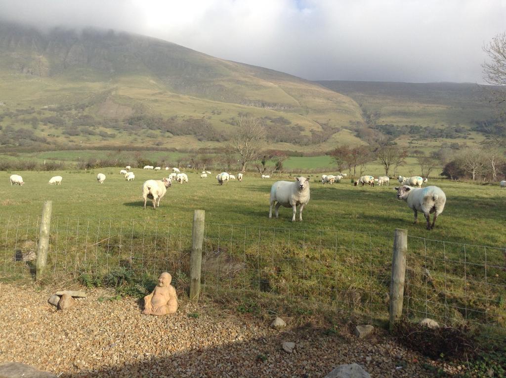 Drumcliff Benbulben Farmhouse B&B מראה חיצוני תמונה