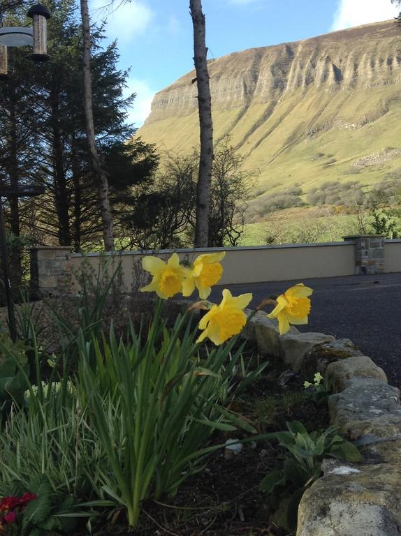 Drumcliff Benbulben Farmhouse B&B מראה חיצוני תמונה